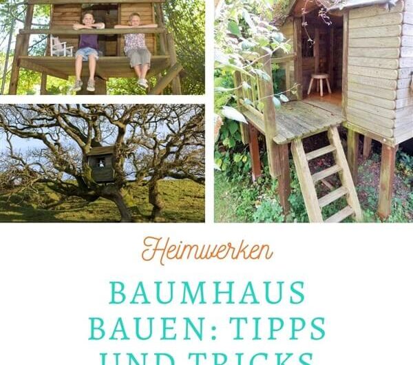 So kannst du ein Baumhaus bauen