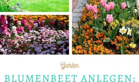 Blumenbeet anlegen