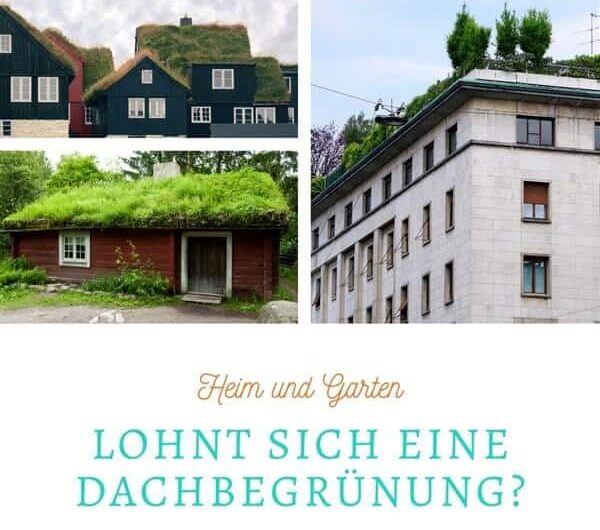 Lohnt sich eine Dachbegrünung?