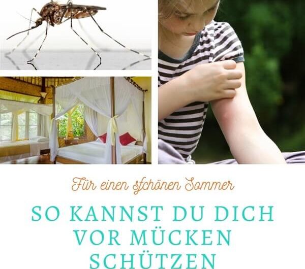 Mittel gegen Mücken: So kannst du dich schützen