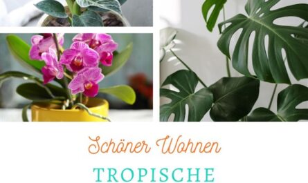 Tropische Zimmerpflanzen pflegen - titelbild