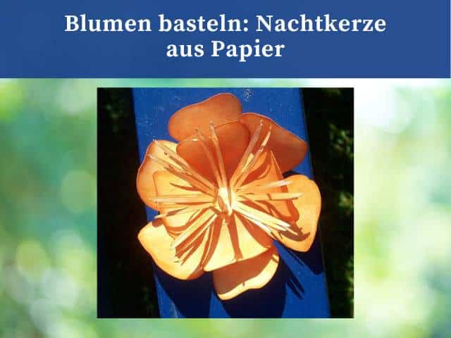 Blumen basteln: Nachtkerze aus Papier