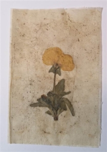 teebeutel-mit-blumen10