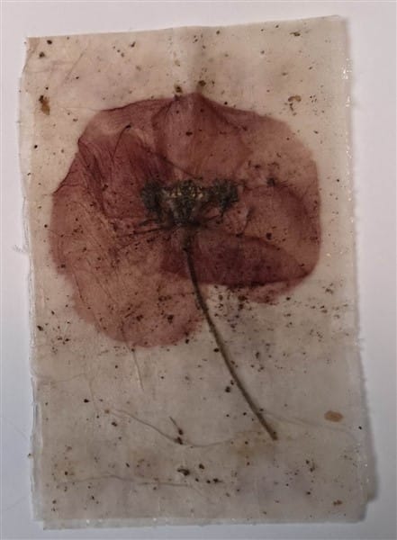 Teebeutelpapier mit getrockneten Blumen