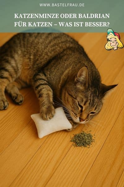 Baldrian oder Katzenminze? 🌱🐾 Erfahre, welche Pflanze deine Katze mehr begeistert und wie du sie sicher einsetzt. Tipps, Unterschiede und eine übersichtliche Vergleichstabelle! 👉 Jetzt entdecken