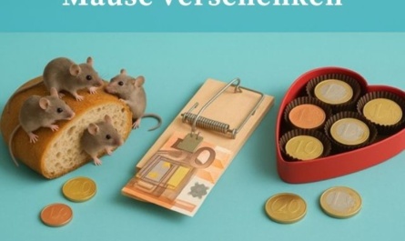 Mäuse verschenken leicht gemacht – Bastelideen für Geldgeschenke, die auffallen