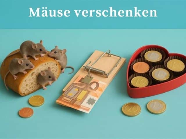 Mäuse verschenken – Ideen für originelle Geldgeschenke