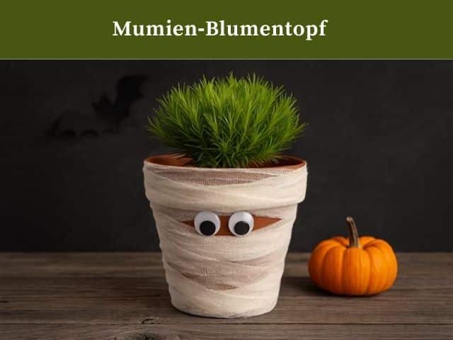Mumien‑Blumentopf