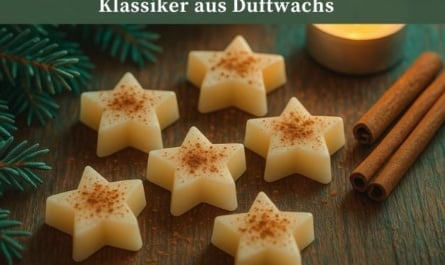Zimtstern-Duftstücke – weihnachtlicher Klassiker aus Duftwachs