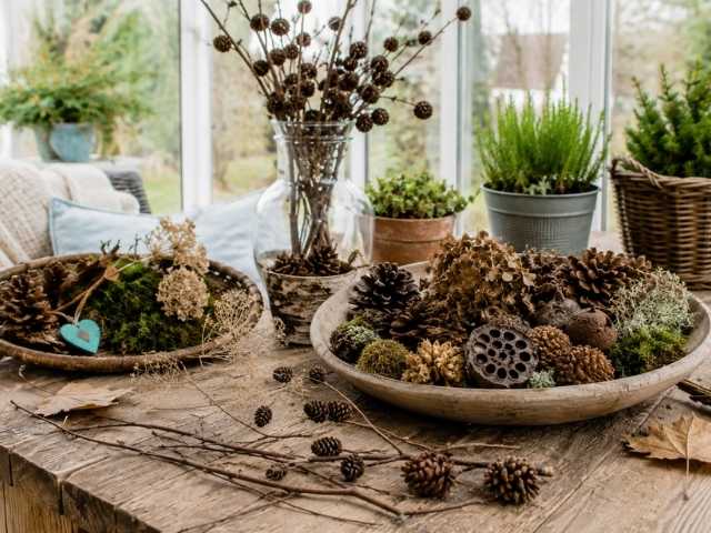 Wintergarten dekorieren mit Material aus der Natur