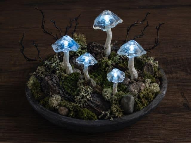 Leuchtende Pilze für einen verwunschenen Hexengarten