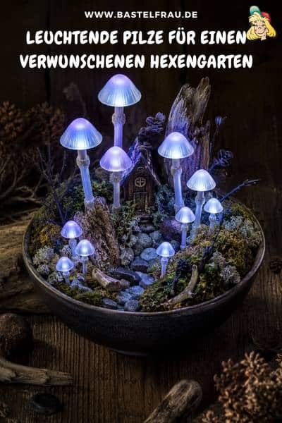 Leuchtende Pilze für einen verwunschenen Hexengarten